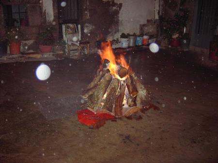 Imagen Carnavales